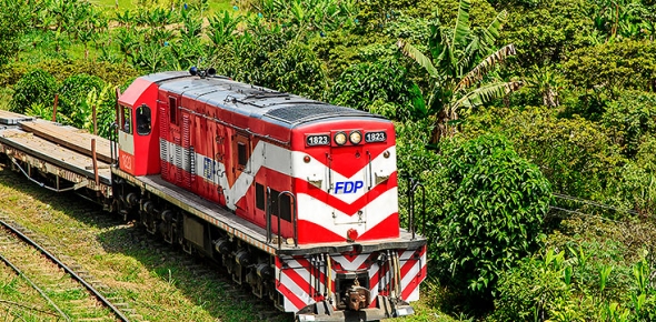 Destino Seguro