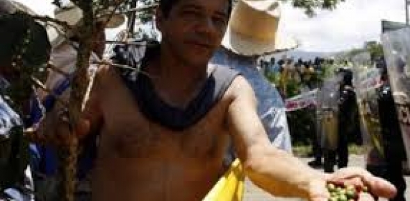 Destino Seguro