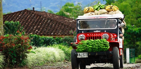 Destino Seguro